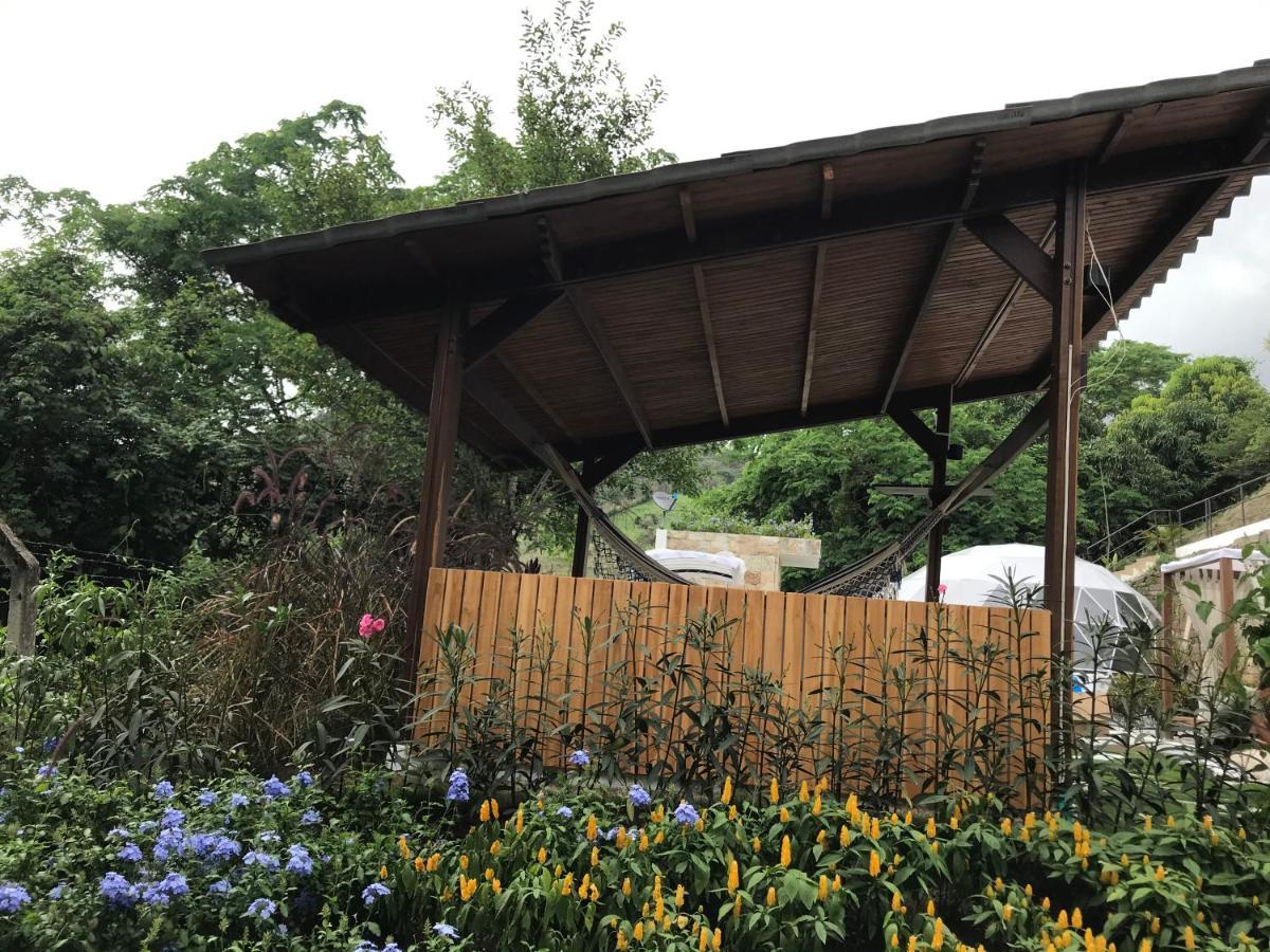 Areca Glamping *